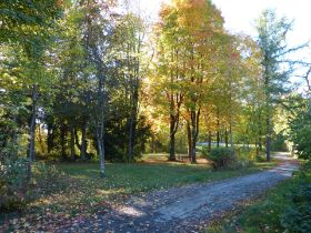 Herbst 2.JPG