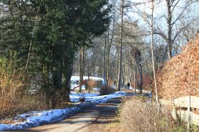 Park mit Straße und Spaziegänger.JPG