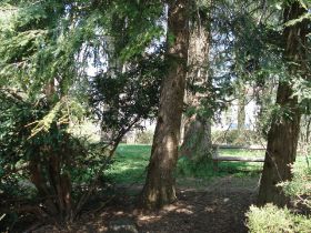 DSC00270.JPG