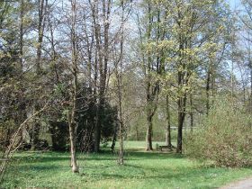 DSC00275.JPG