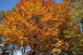 IMG_8647.JPG