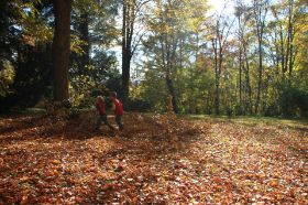 IMG_8652.JPG