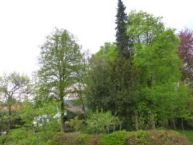 P1090311.JPG